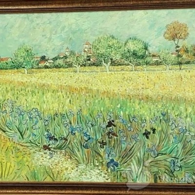 Ван Гог копия картины "Вид на Арль с ирисами" фото